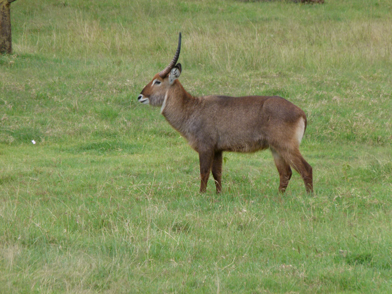 P1020044
