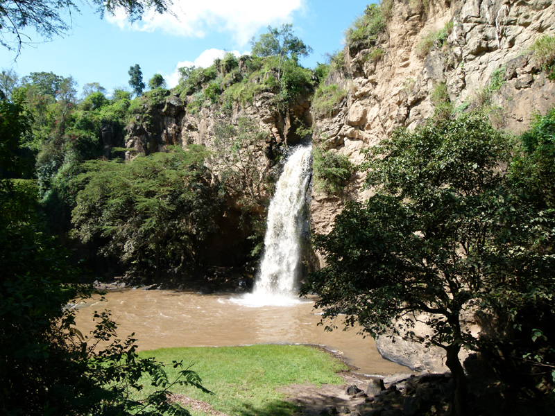 P1020356