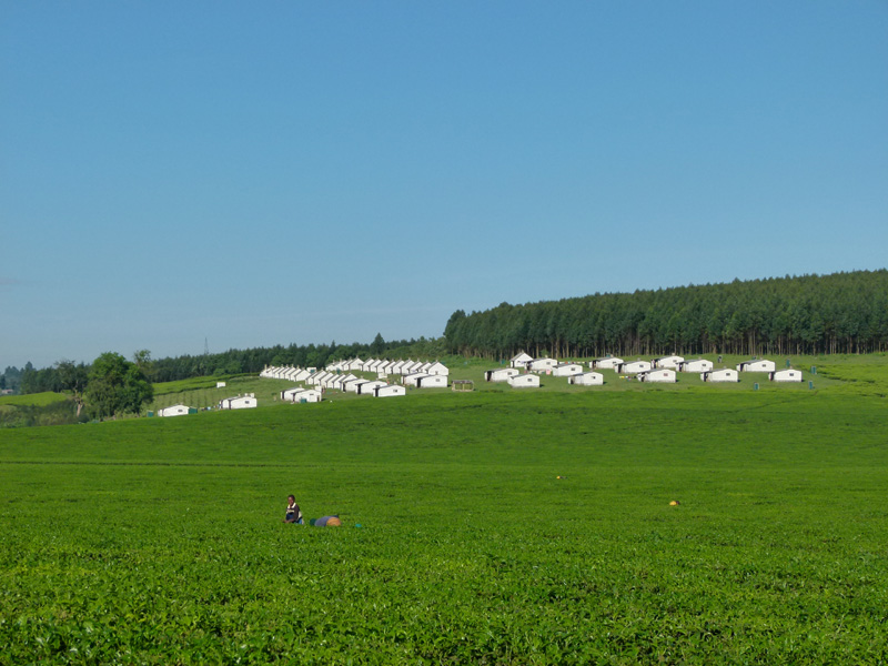 P1020450