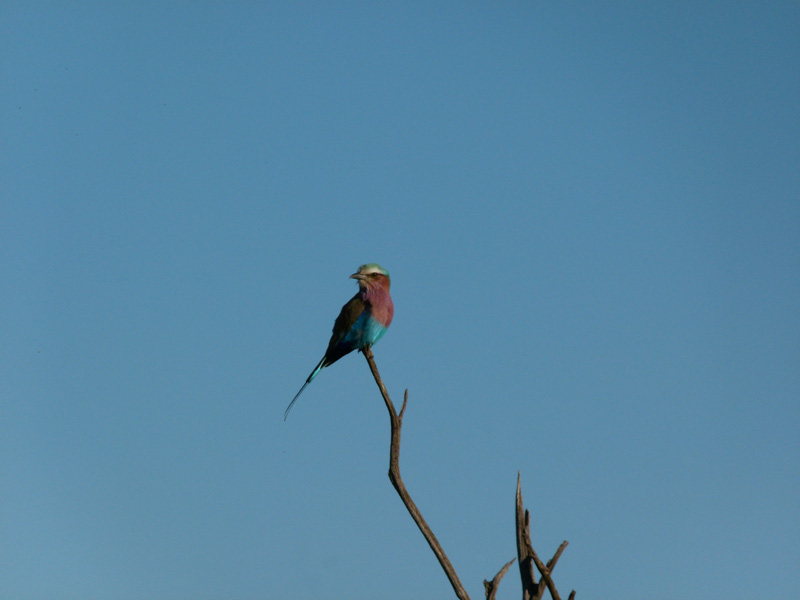 P1020806