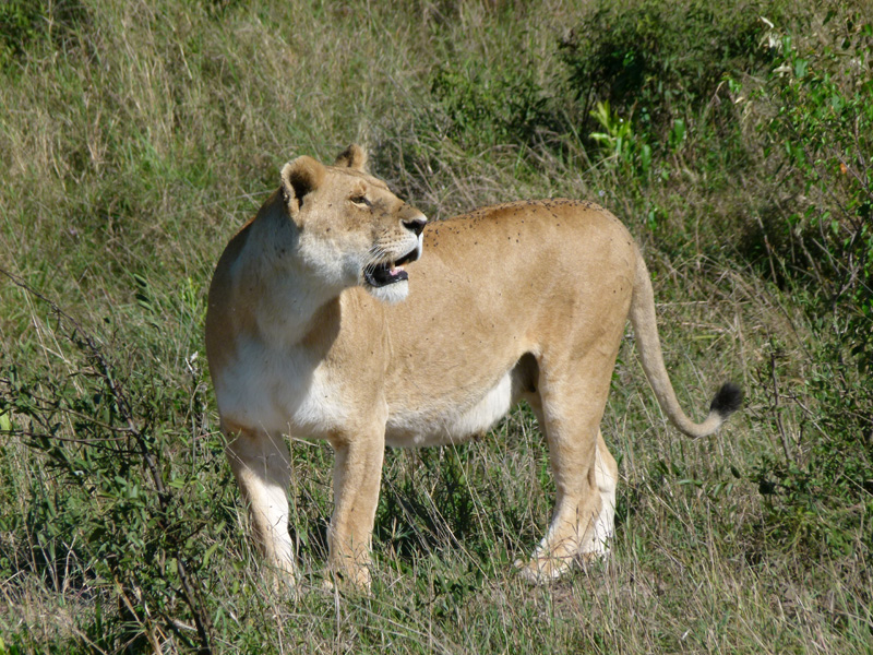 P1020852