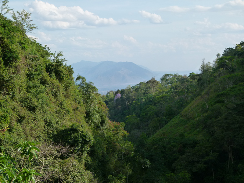 P1040913