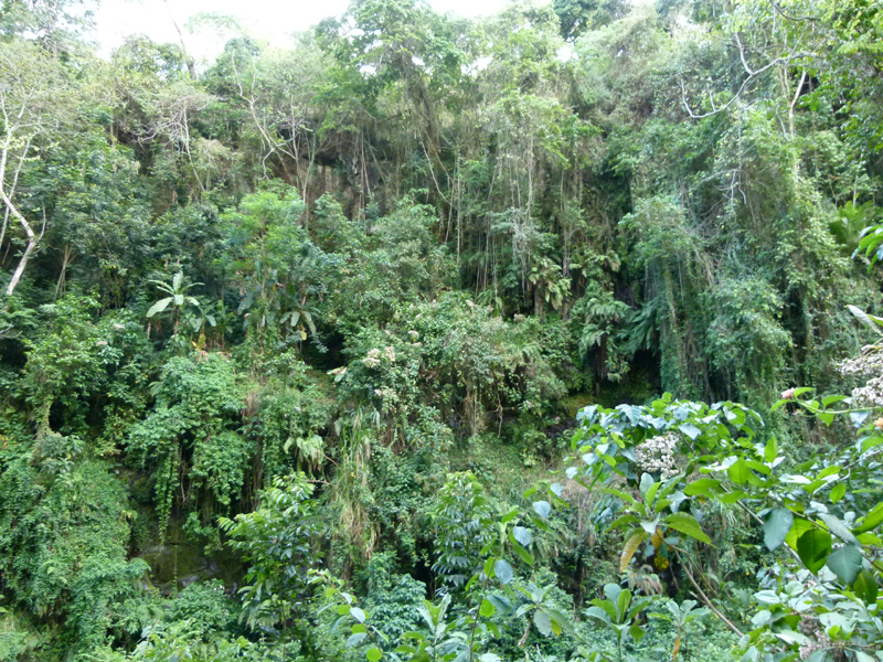 P1040916