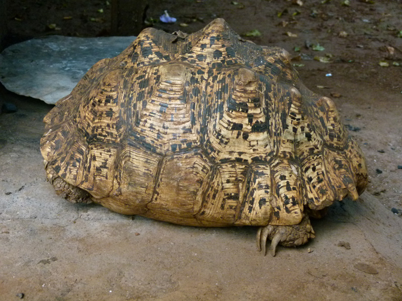 P1050014