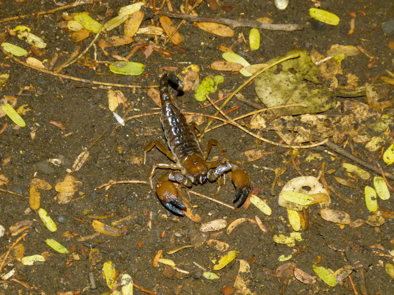 P1050268
