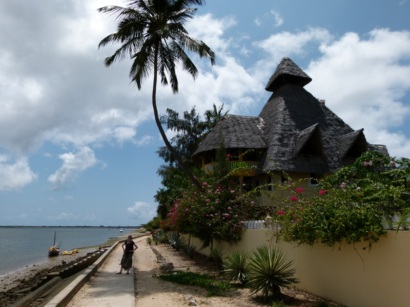 P1050888